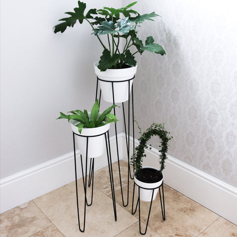 Plant Stands - Large Set