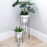 Plant Stands - Small Set